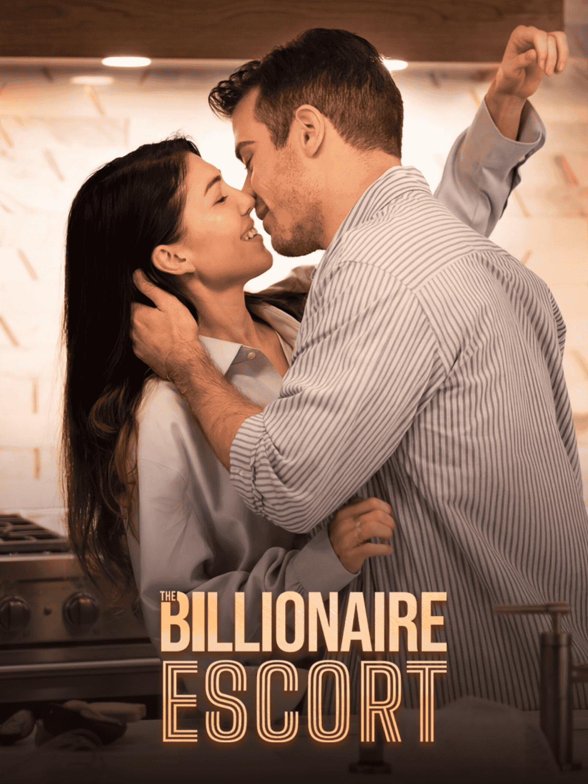 The Billionaire Escort cover poster
